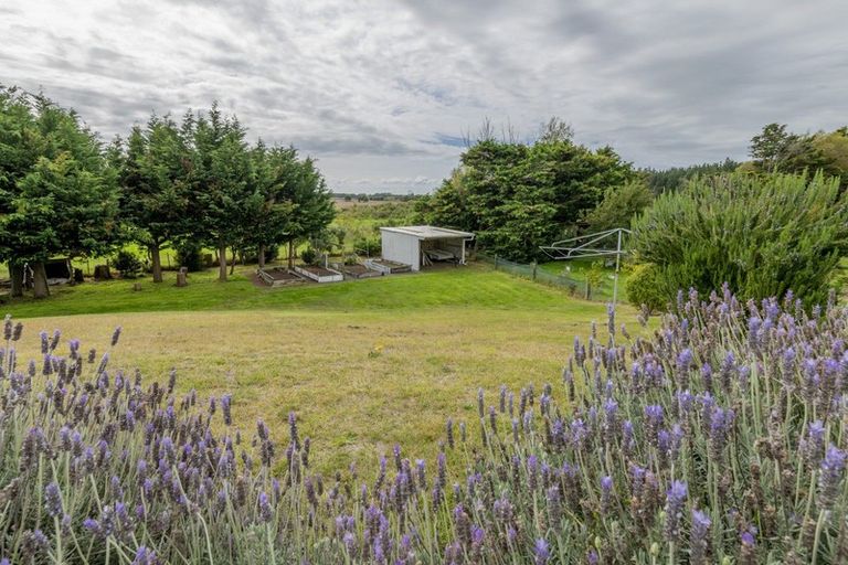 Photo of property in 90 Bergin Road, Foxton, 4814