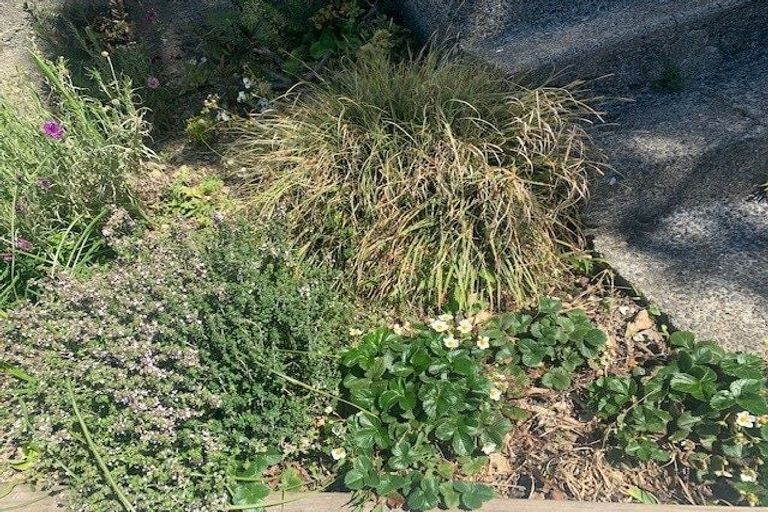 Photo of property in 77 Todman Street, Brooklyn, Wellington, 6021