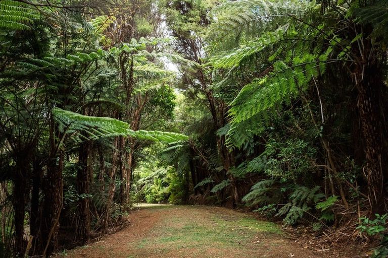 Photo of property in 183 Rangitane Road, Kerikeri, 0294