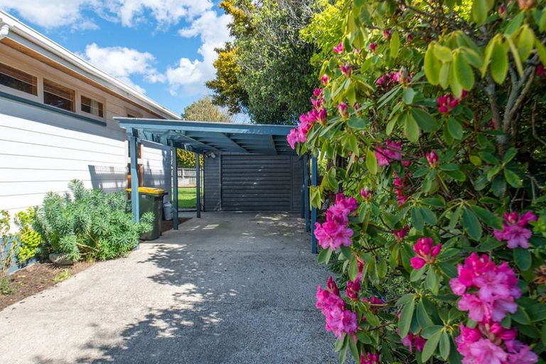 Photo of property in 79 Bushyhill Street, Tapanui, 9522