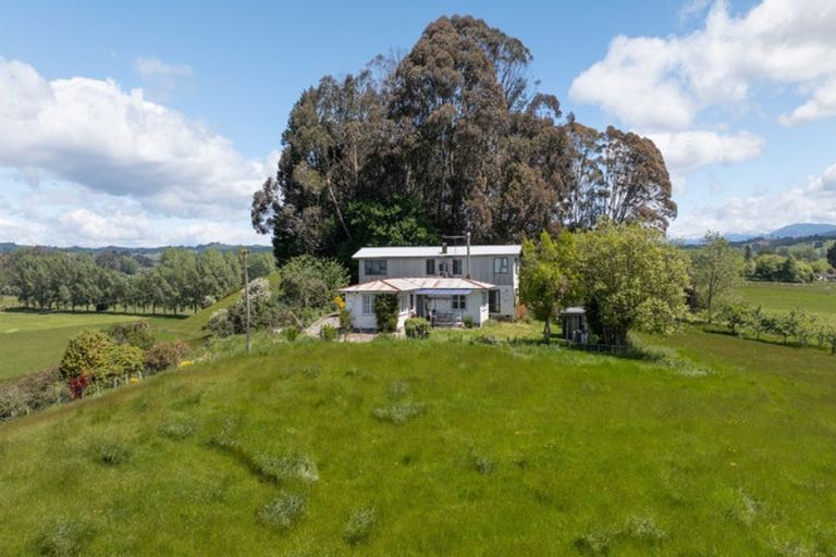 Photo of property in 67 Rosedale Road, Pinehill, Auckland, 0632