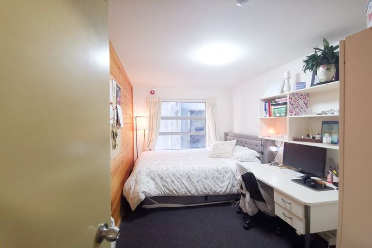 Photo of property in Drummond Street Flats, 19u1 Drummond Street, Mount Cook, Wellington, 6021