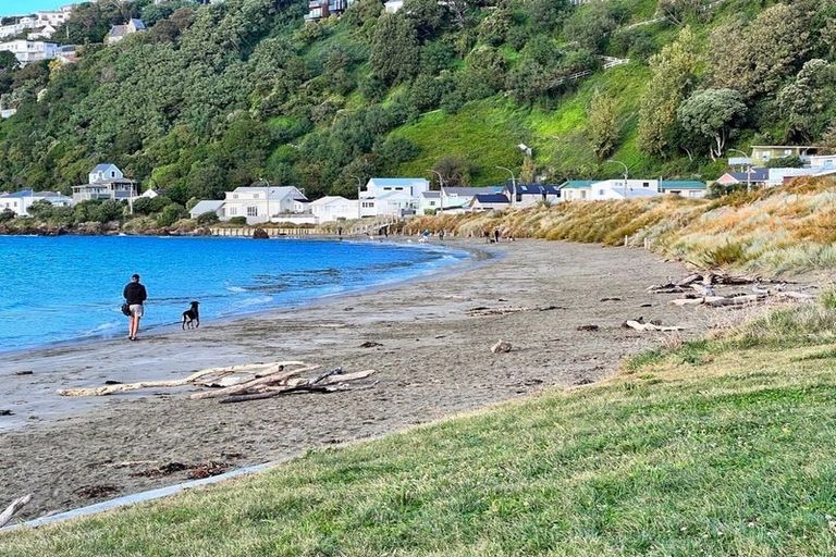 Photo of property in 90b Awa Road, Seatoun, Wellington, 6022