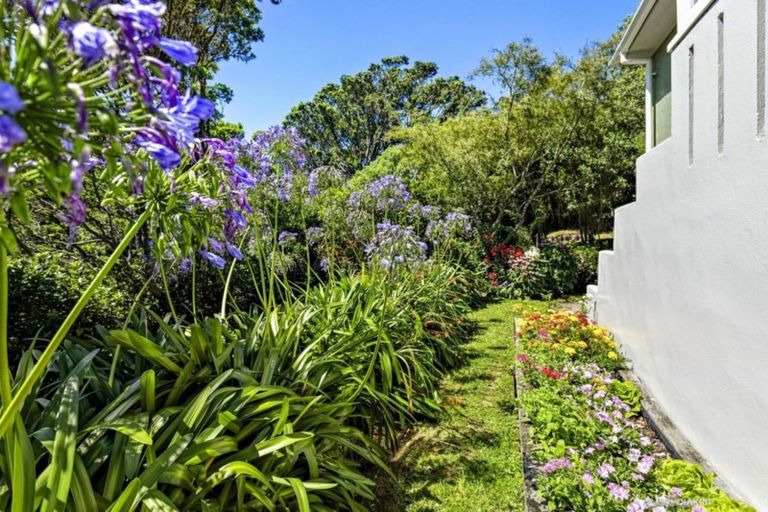 Photo of property in 9 Kaihuia Terrace, Northland, Wellington, 6012