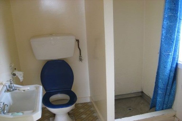 Photo of property in 52 Wright Street, Mount Cook, Wellington, 6021