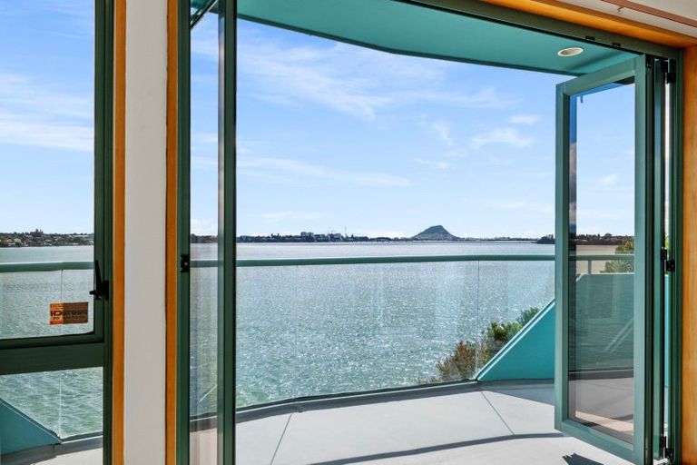 Photo of property in 292a Maungatapu Road, Maungatapu, Tauranga, 3112