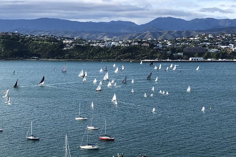 Photo of property in 51 Overtoun Terrace, Hataitai, Wellington, 6021