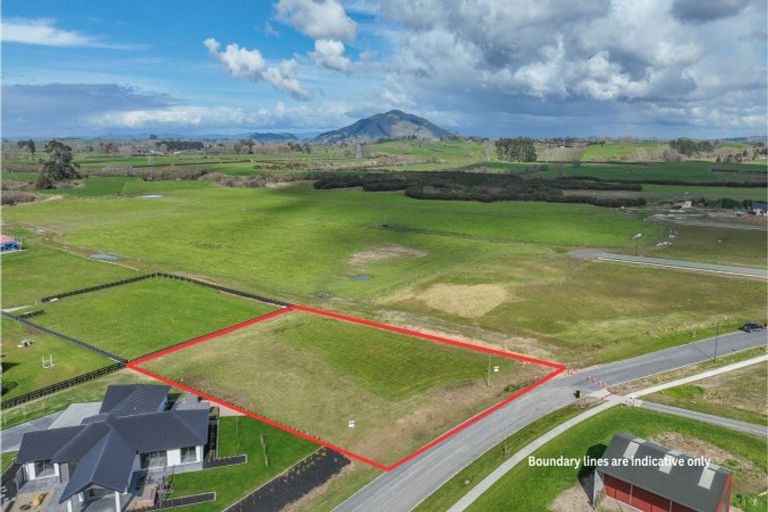 Photo of property in 895 Collinson Street, Pirongia, 3802
