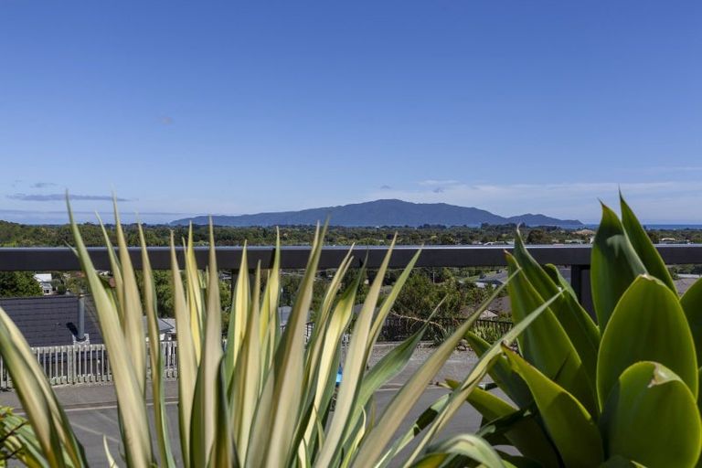 Photo of property in 101 Kakariki Grove, Waikanae, 5036