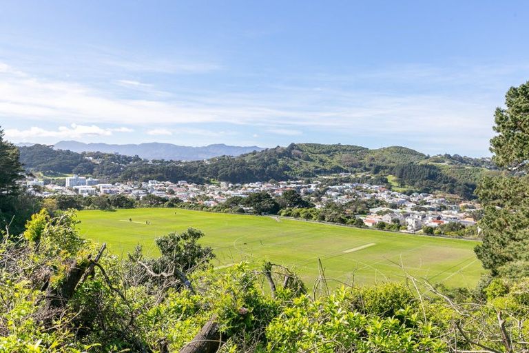 Photo of property in 64b Balfour Street, Mornington, Wellington, 6021