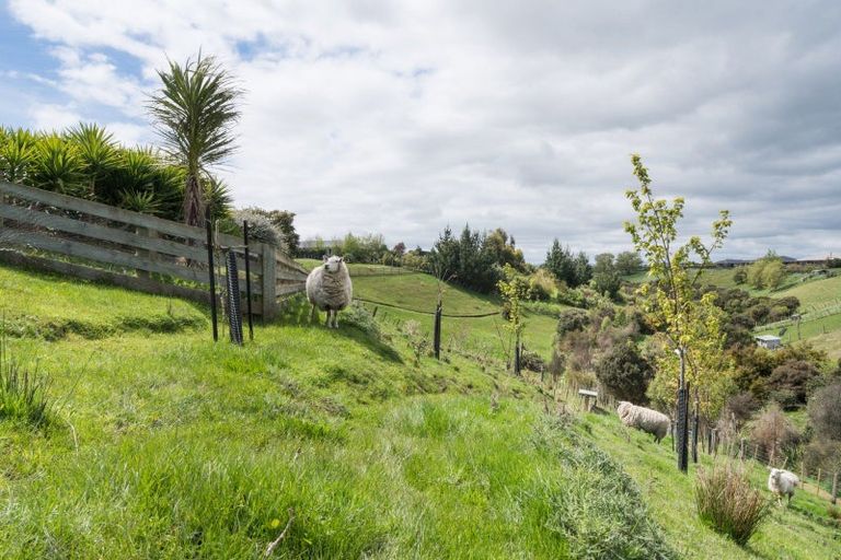 Photo of property in 49 Wapiti Avenue, Feilding, 4775