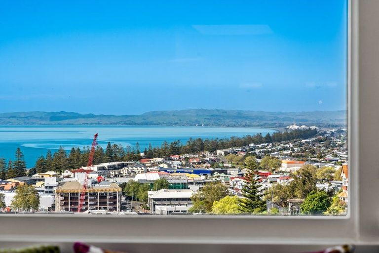 Photo of property in 14 Corry Avenue, Bluff Hill, Napier, 4110