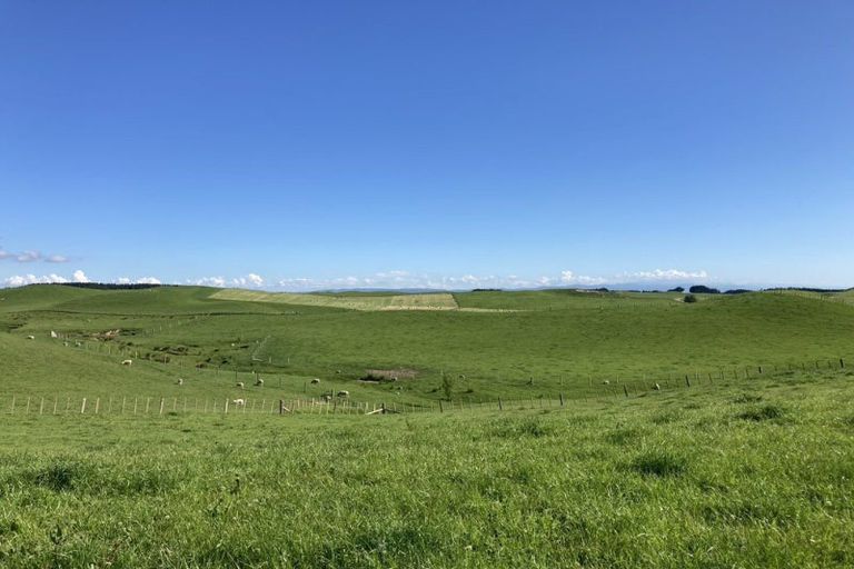 Photo of property in 398 Finnis Road, Pohangina, Ashhurst, 4775