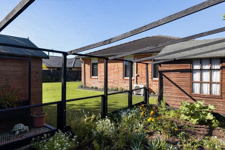 Photo of property in 23 Watkins Road, Cambridge, 3434