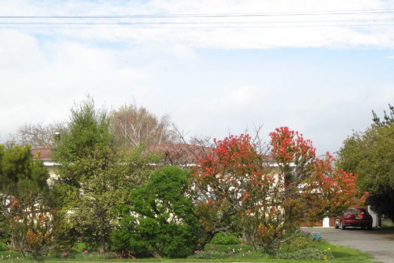 Photo of property in 21c Te Aute Road, Havelock North, 4130