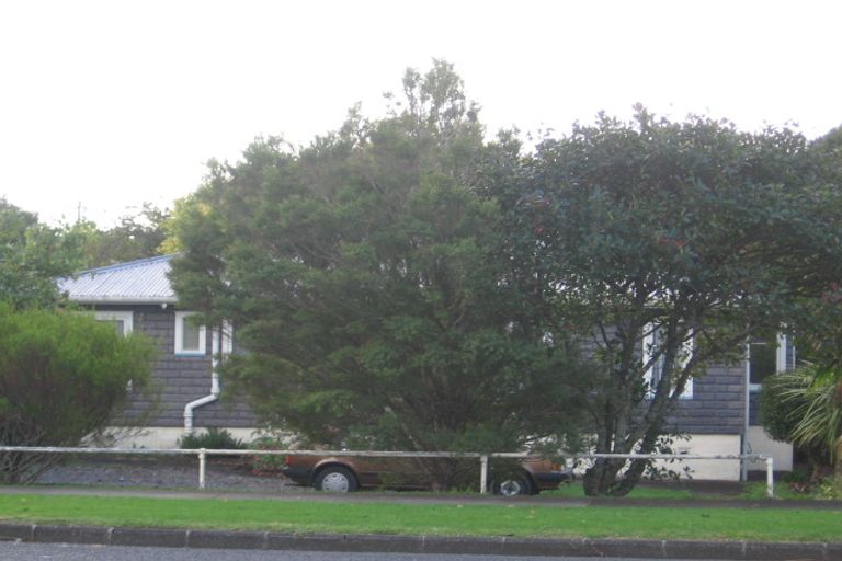 Photo of property in 12 Larnoch Road, Henderson, Auckland, 0610