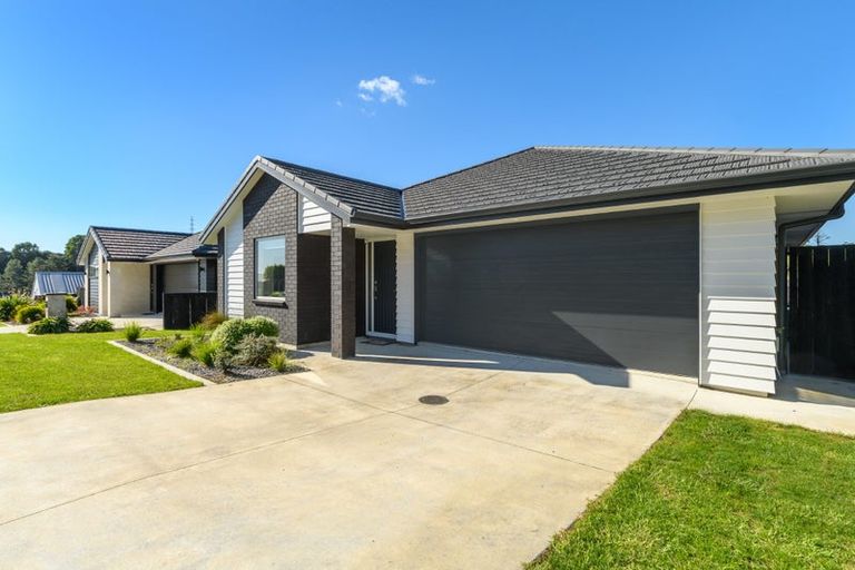 Photo of property in 10 Kokopu Lane, Ohauiti, Tauranga, 3112
