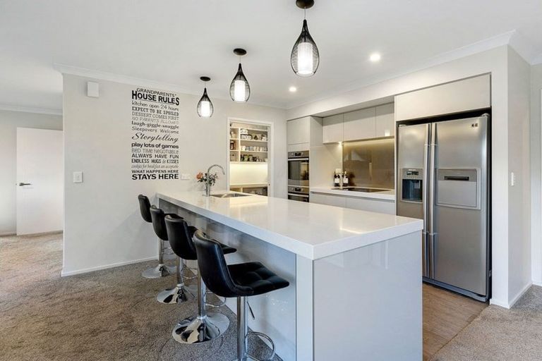 Photo of property in 3 Loeb Place, Rolleston, 7614