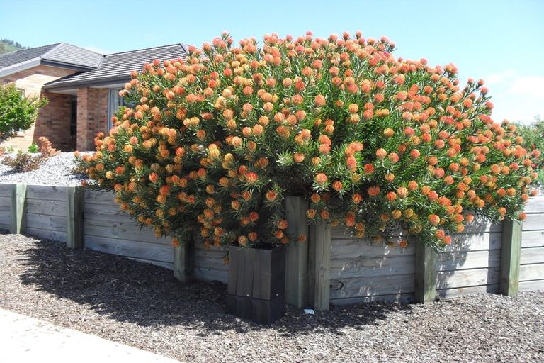 Photo of property in 12 Pine Crest Drive, Richmond, 7020