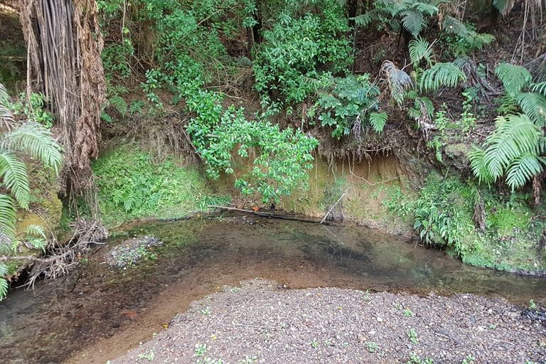 Photo of property in 42b Dutton Road, Peria, Kaitaia, 0482