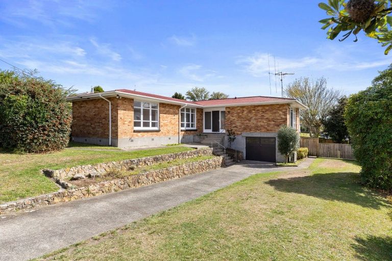 Photo of property in 16 Clothier Street, Putaruru, 3411