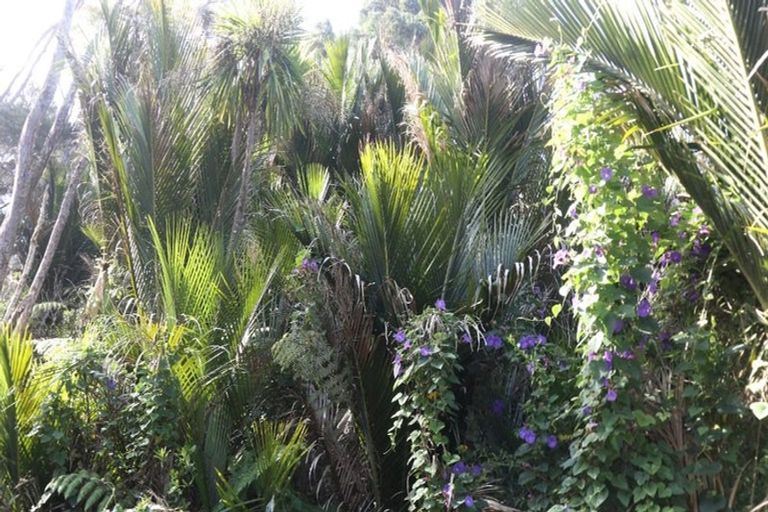 Photo of property in 223 Huia Road, Titirangi, Auckland, 0604