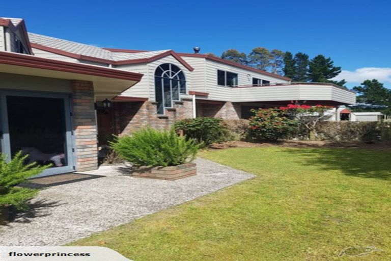 Photo of property in 491 Palmer Mill Road, Wairakei, Taupo, 3384