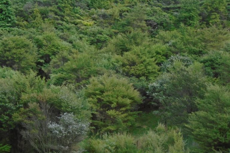 Photo of property in 43a Pinetone Road, Kumeu, 0892