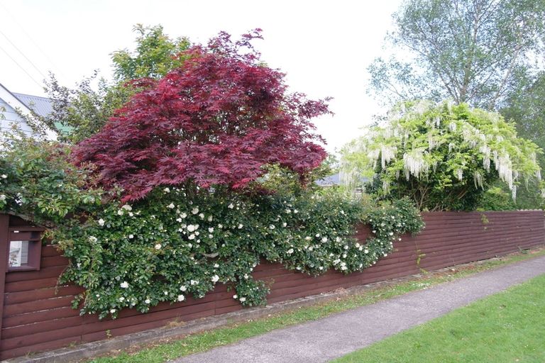 Photo of property in 22 Clarke Street, Waihi, 3610