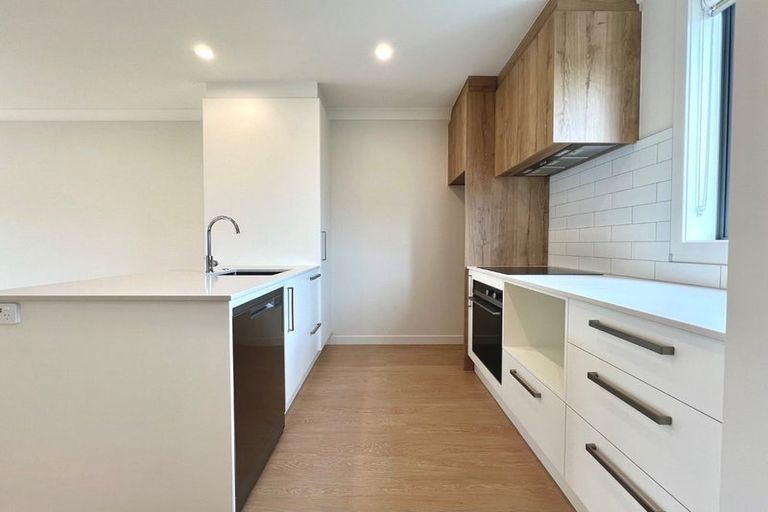 Photo of property in 10 Park Green Avenue, Rosehill, 2113