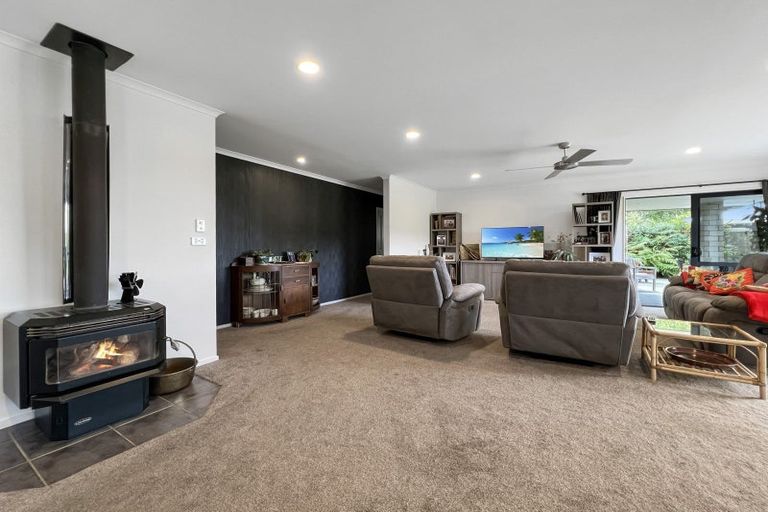 Photo of property in 131 Hogg Road, Rotoma, Whakatane, 3192