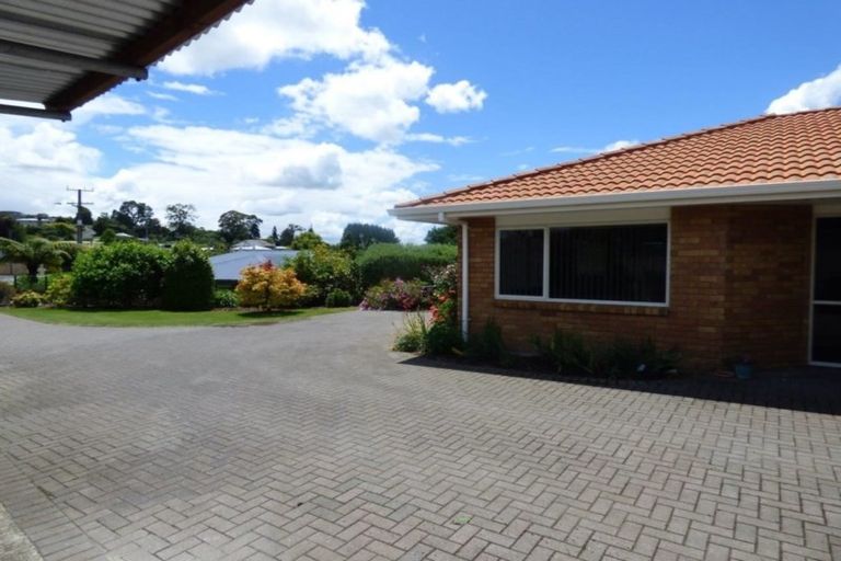 Photo of property in 38 Gradara Avenue, Otorohanga, 3900