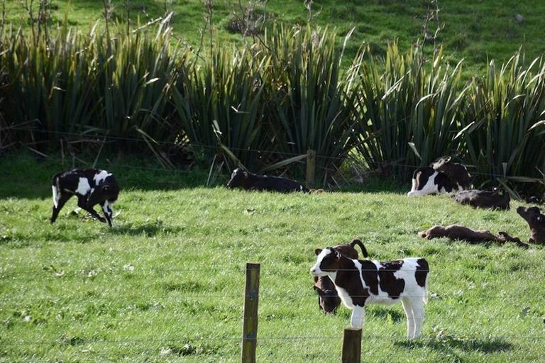 Photo of property in 3 Manuka Drive, Whangamata, 3691