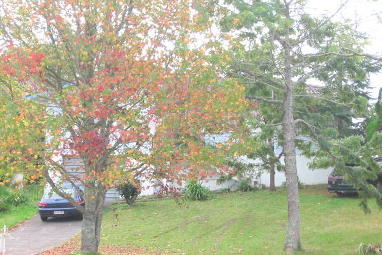 Photo of property in 19 Dellwood Avenue, Henderson, Auckland, 0612