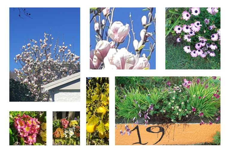 Photo of property in 19 Wesley Avenue, Frankleigh Park, New Plymouth, 4310