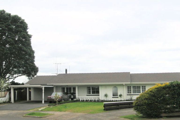 Photo of property in 19 Linklater Avenue, Bellevue, Tauranga, 3110