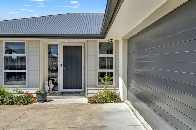 Photo of property in 17 Morrell Street, Tawhero, Whanganui, 4501