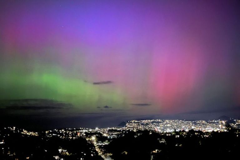 Photo of property in 34 Murano Street, Waverley, Dunedin, 9013