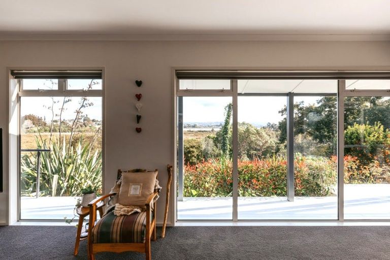 Photo of property in 58 Hall Road, Matua, Tauranga, 3110