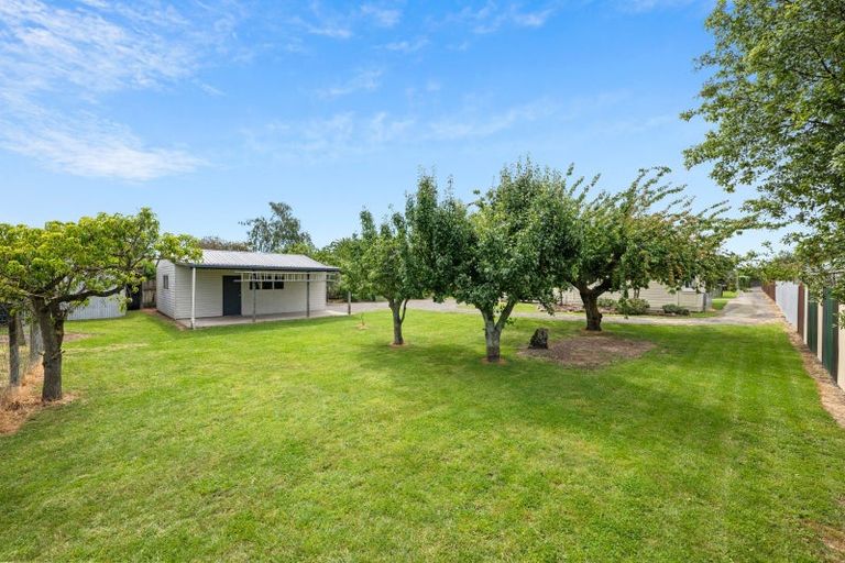 Photo of property in 42 Dillons Point Road, Islington, Blenheim, 7201