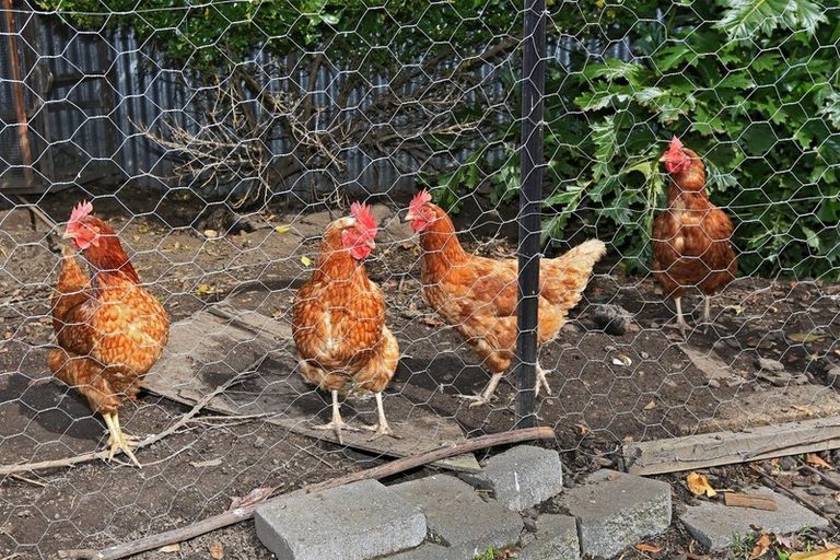 Photo of property in 403 Nottingley Road, Frimley, Hastings, 4120