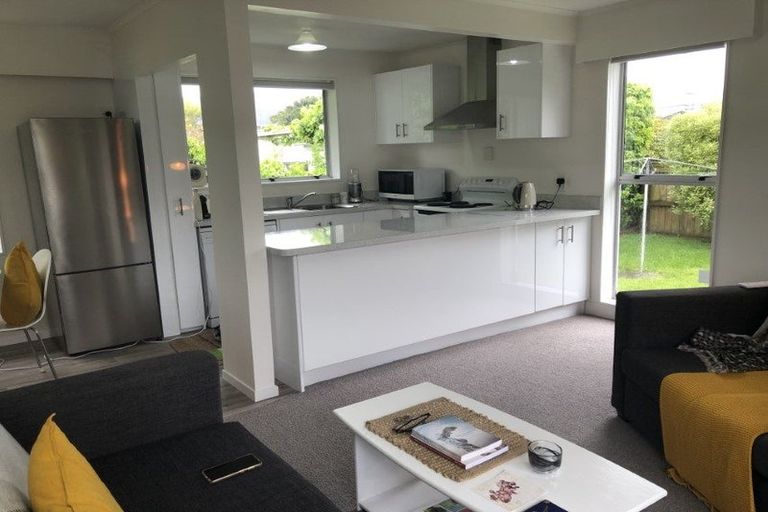 Photo of property in 66 Brunswick Street, Hutt Central, Lower Hutt, 5010