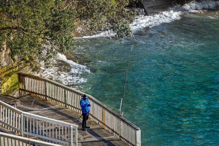 Photo of property in 21 Fishermans Cove, Army Bay, Whangaparaoa, 0930