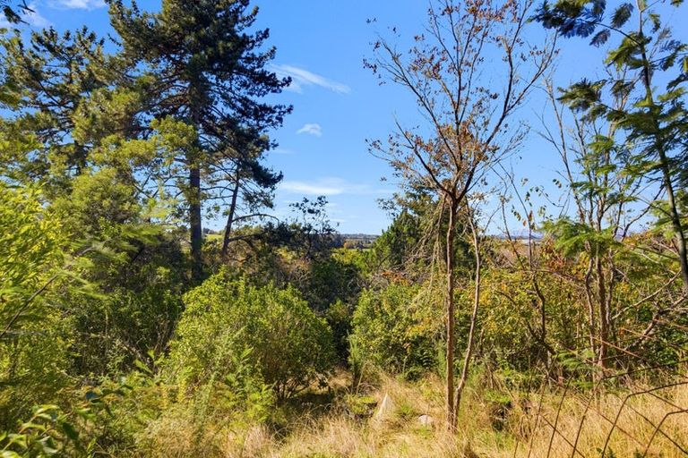 Photo of property in 248 Hursthouse Street, Lower Moutere, Upper Moutere, 7175