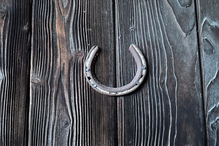 Photo of property in 19 The Bollard, Whitby, Porirua, 5024