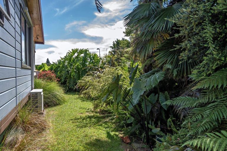 Photo of property in 166a King Street, Whakatane, 3120