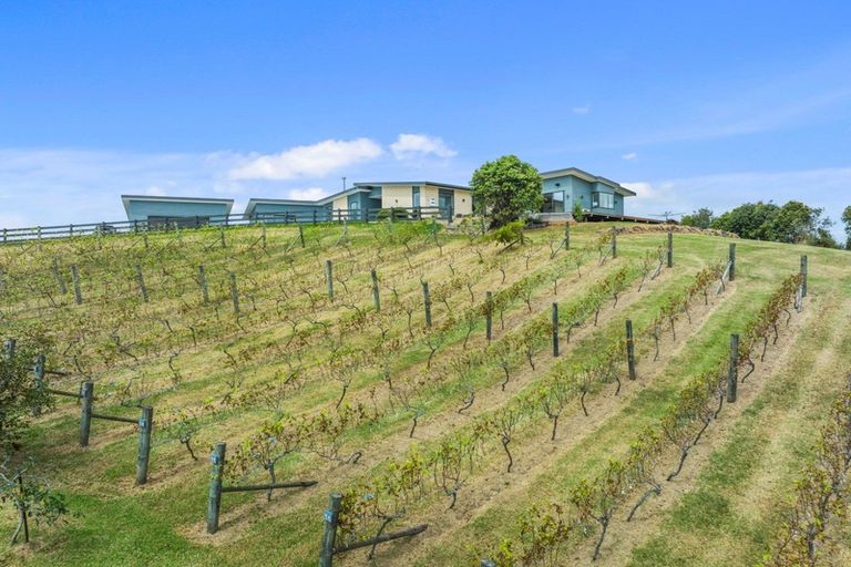 Photo of property in 293 Lawrence Road, Mangawhai, Kaiwaka, 0573