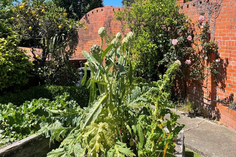 Photo of property in 6 Burnham Street, Seatoun, Wellington, 6022