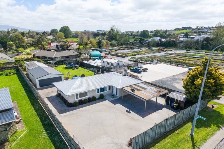 Photo of property in 621 Ohaupo Road, Te Awamutu, 3800