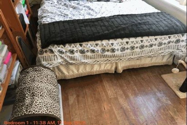 Photo of property in 158a Hermitage Road, Aka Aka, Waiuku, 2682